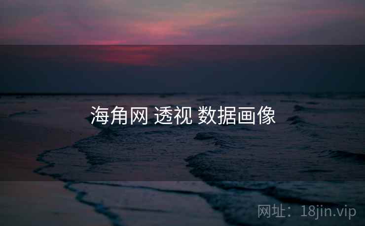 海角网 透视 数据画像