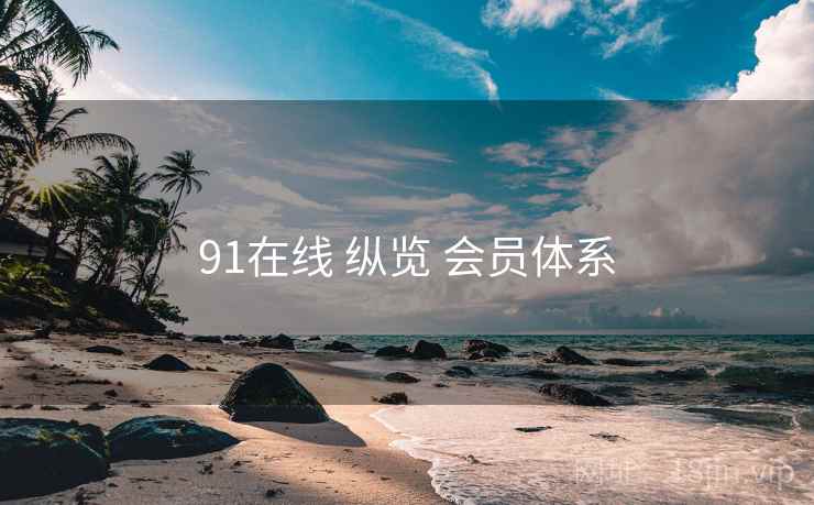 91在线 纵览 会员体系