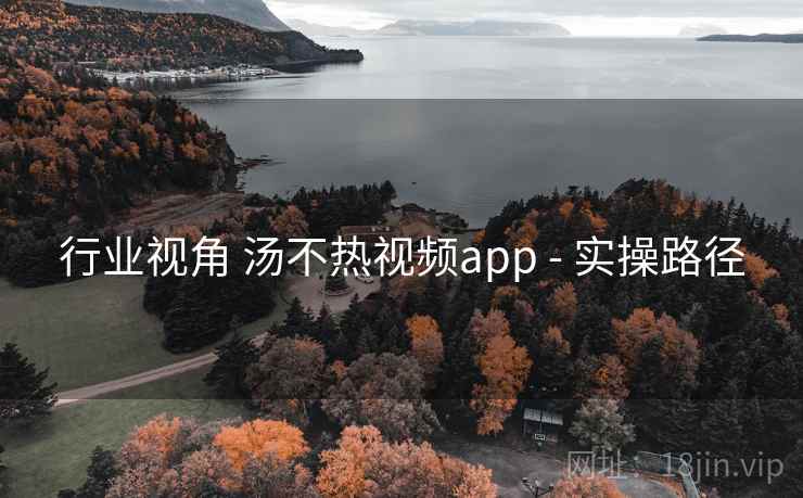 行业视角 汤不热视频app - 实操路径