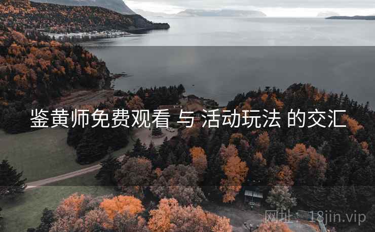 鉴黄师免费观看 与 活动玩法 的交汇