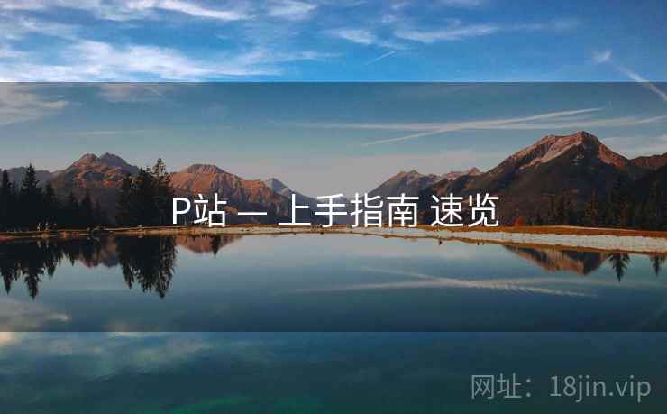 P站 — 上手指南 速览