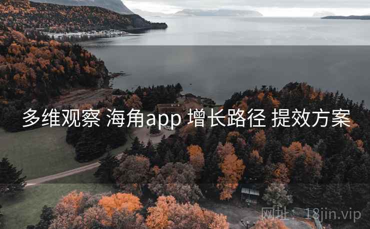 多维观察 海角app 增长路径 提效方案