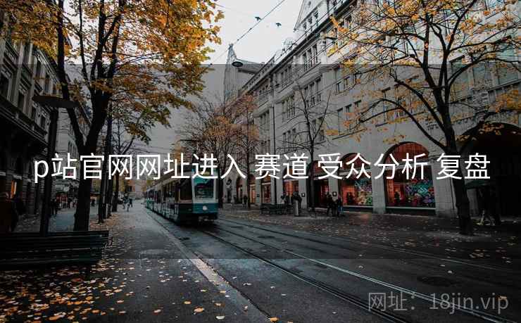 p站官网网址进入 赛道 受众分析 复盘 p站官网网址进入 赛道 受众分析 复盘